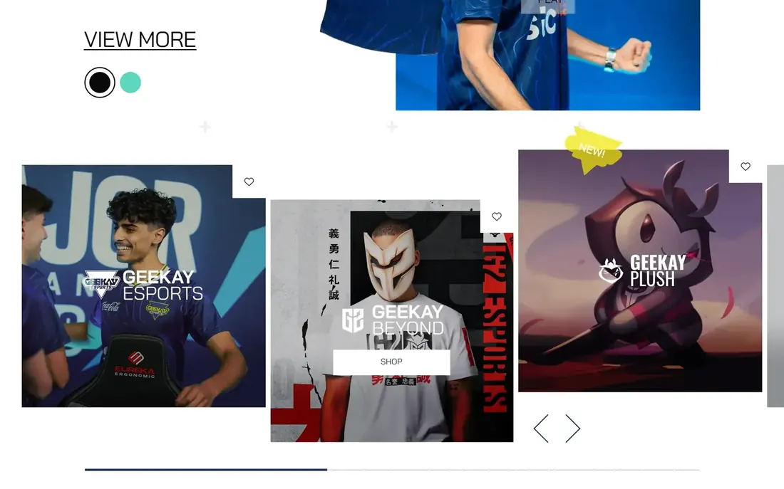 A section from the Geekay Esports page.